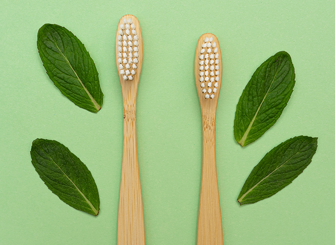 Mint leaves and tooth brushes